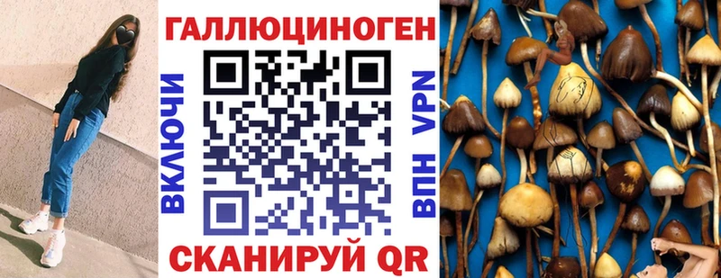 Псилоцибиновые грибы мицелий  Купить где  Лениногорск 